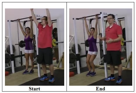 Vertical Hanging Exercise
