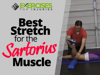 Best Stretch for the Sartorius Muscle