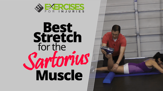 Best Stretch for the Sartorius Muscle