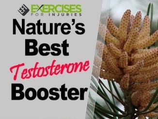 Nature’s Best Testosterone Booster