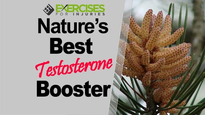 Nature’s Best Testosterone Booster