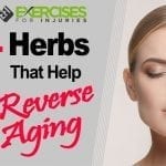 4 Herbs that Help Reverse Aging