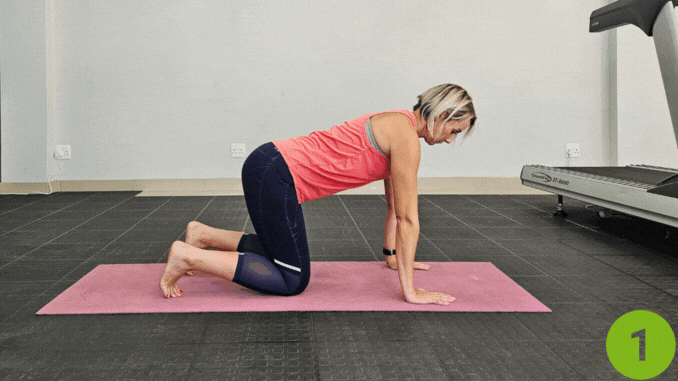 Mountain Climbers-