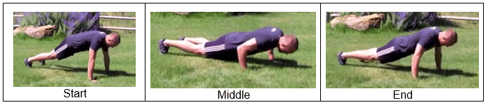 Plank Position with Push Up