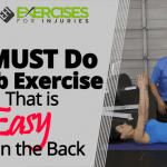 MUST Do Ab Exercise That is Easy on the Back