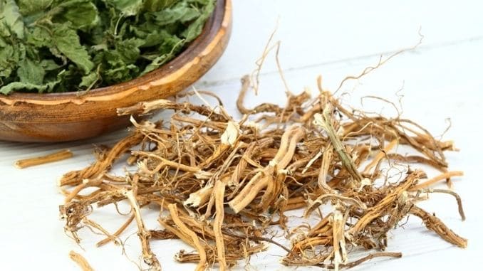 dried-nettle-roots-leaves