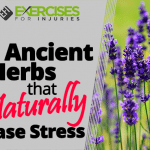 4 Ancient Herbs that Naturally Erase Stress