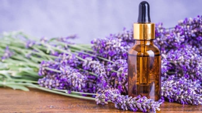 Lavender essential oil Naturally Erase Stress