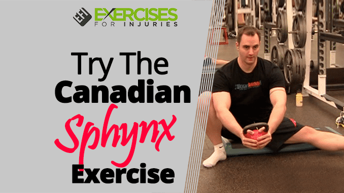 Try The Canadian Sphynx Exercise