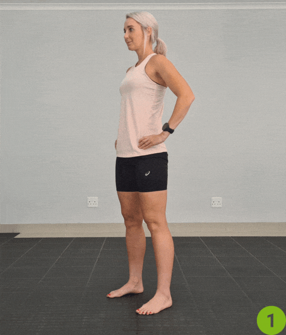 Bodyweight Squats 