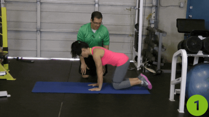 Quadruped Hip Circles