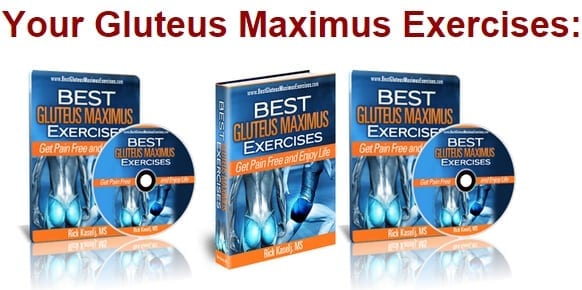 Gluteus Maximus Exercises by Rick Kaselj