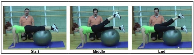 Stability Ball Plank with Alternating Leg Lift (Level 2)
