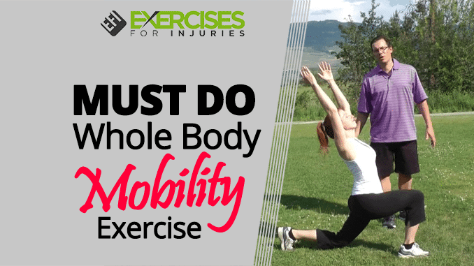 MUST DO Whole Body Mobility Exercise