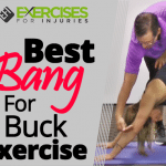 Best Bang For Buck Exercise