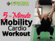 5-Minute Mobility Cardio Workout