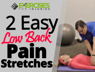 2 Easy Low Back Pain Stretches
