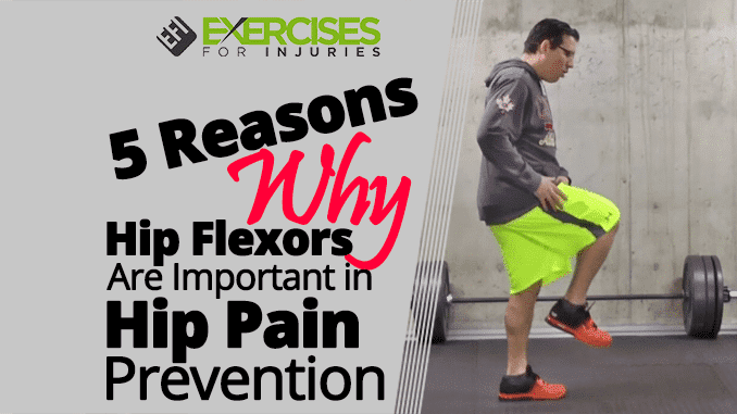 5 Reasons Why Hip Flexors Are Important in Hip Pain Prevention