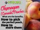 Okanagan-Canada-Peaches-What-are-the-benefits