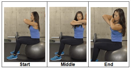 Sitting, Rotating and Side Bending