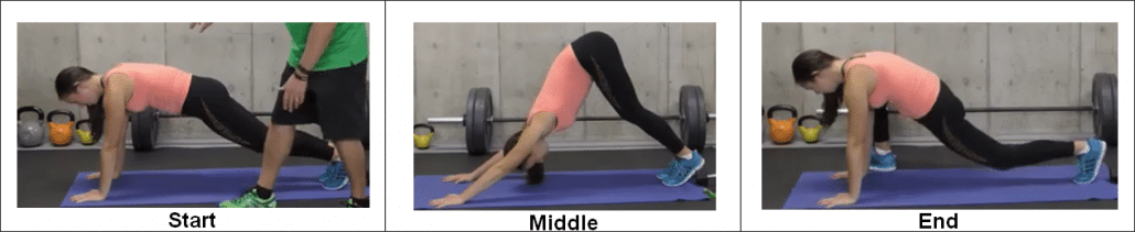 2-down-dog-to-lunge