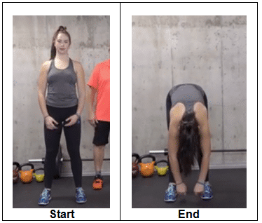 Full Body Roll-up back strengthening exercises