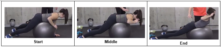 Back Extensions with a Ball
