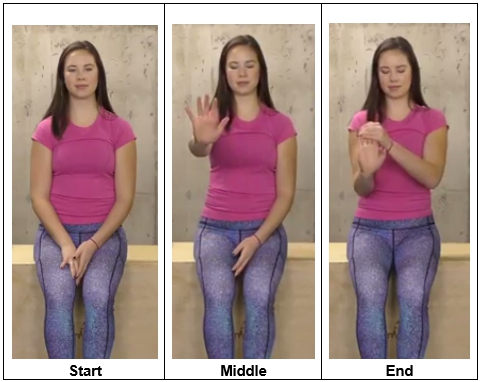 Seated Wrist Extension