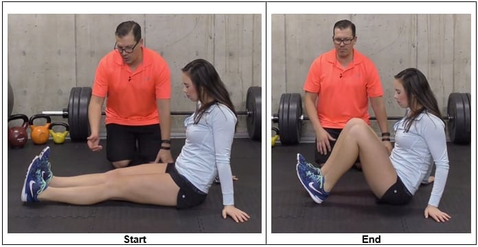 Seated Leg Extensions