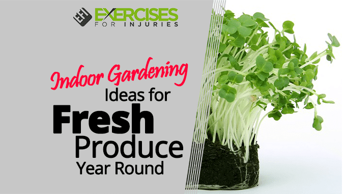 Indoor Gardening Ideas for Fresh Produce Year Round