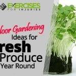 Indoor Gardening Ideas for Fresh Produce Year-round