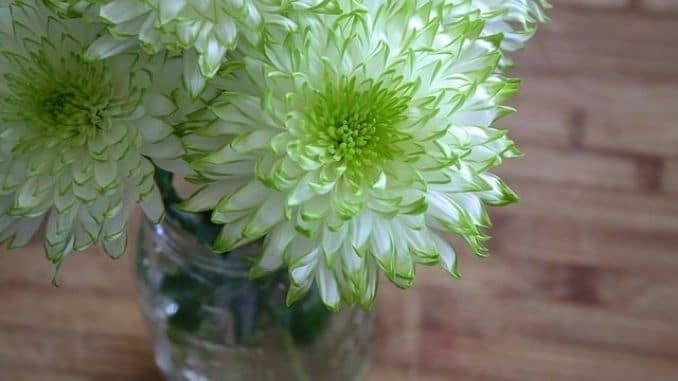 white-green-flower