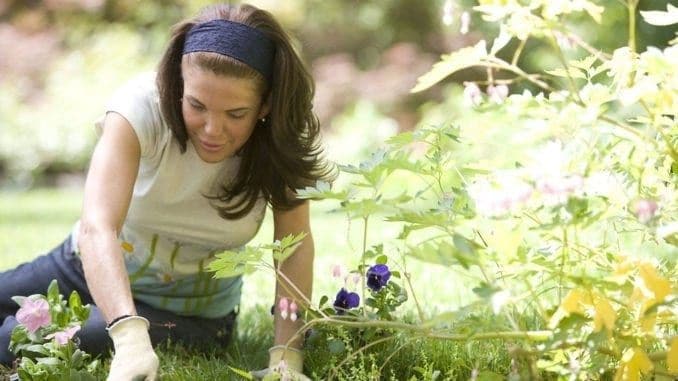 woman_gardening - Turn Gardening Into a Healthy Workout