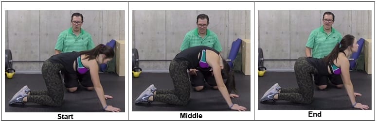 Cat-cow Exercise-pregnancy back pain relief