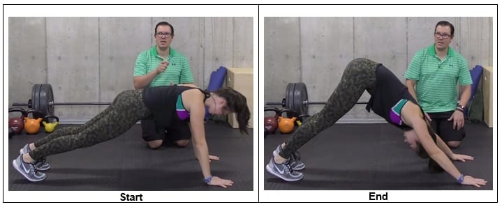 Downward Dog Into Plank - best exercises for back pain