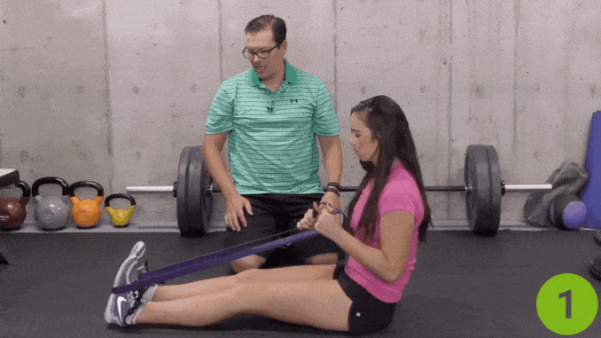 Knee Extensors With Bands