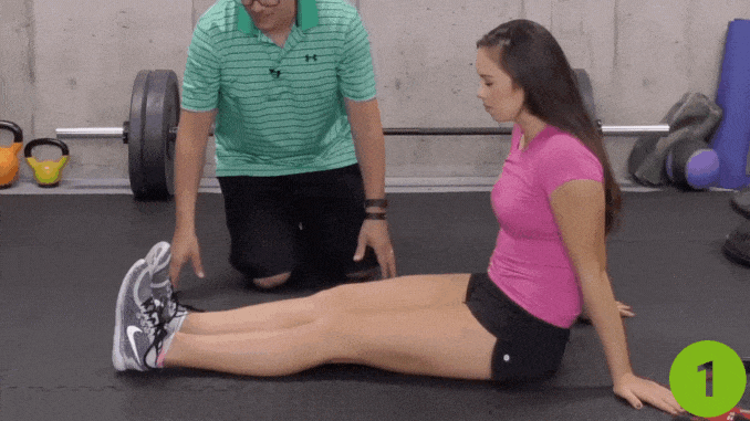 Seated Leg Lifts