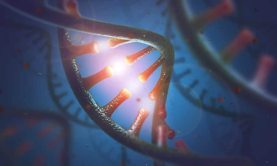 3d illustration  concept of DNA and RNA molecules.