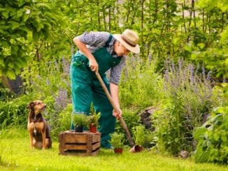 Here’s How Whacking Weeds Gets You Burning Calories