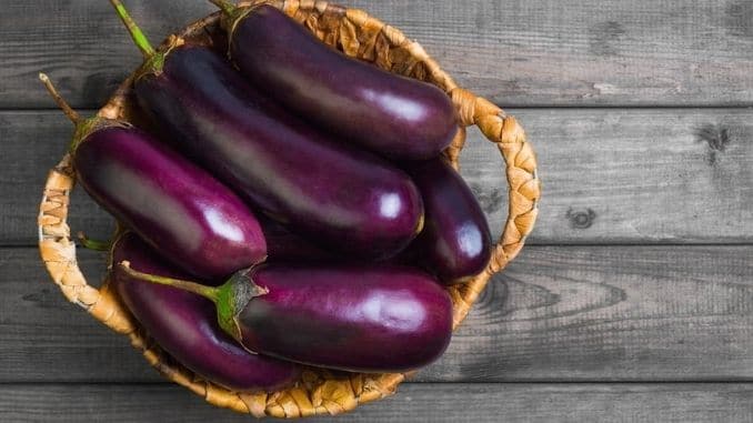 Eggplant-In-Basket