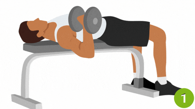 Single Arm Bench - Kickboxing Circuit Workout 