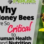 Why Honey Bees Are So Critical to Human Health and Nutrition