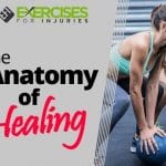 The Anatomy of Healing