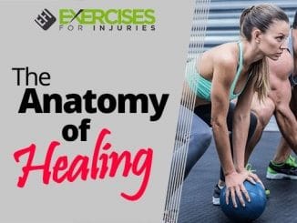 The-Anatomy-of-Healing