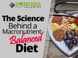 The Science Behind a Macronutrient Balanced Diet