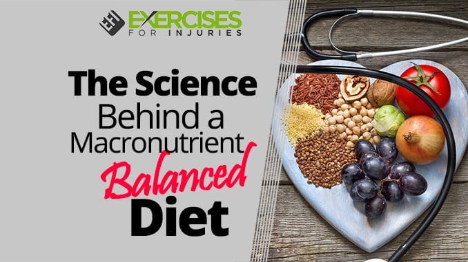 The Science Behind a Macronutrient Balanced Diet