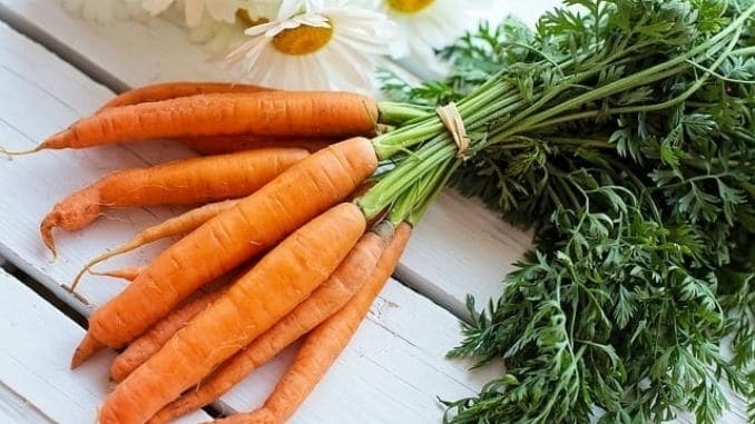carrots and herbs