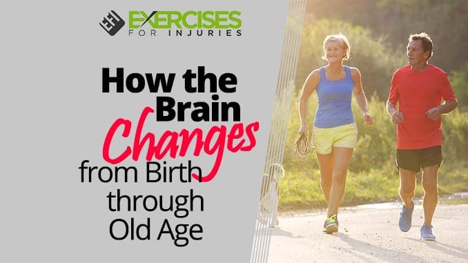 How the Brain Changes from Birth through Old Age