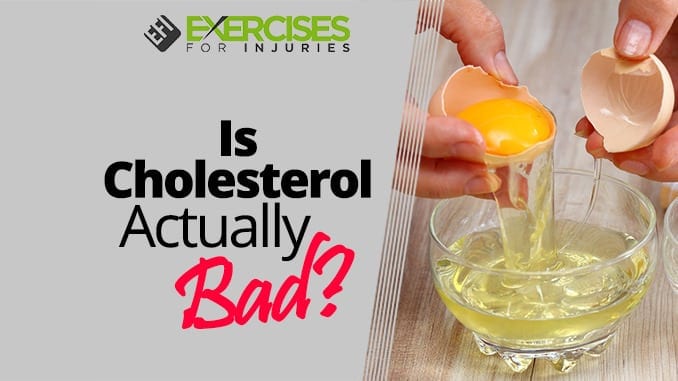 Is Cholesterol Actually Bad