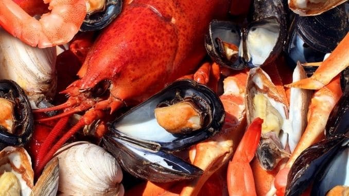 Shellfish - fun facts about Thanksgiving